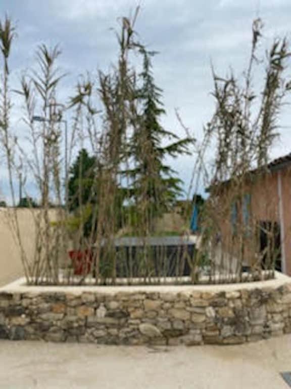 Villa Spa Piscine : Entre Mer Et Montagne Foissac  Eksteriør billede